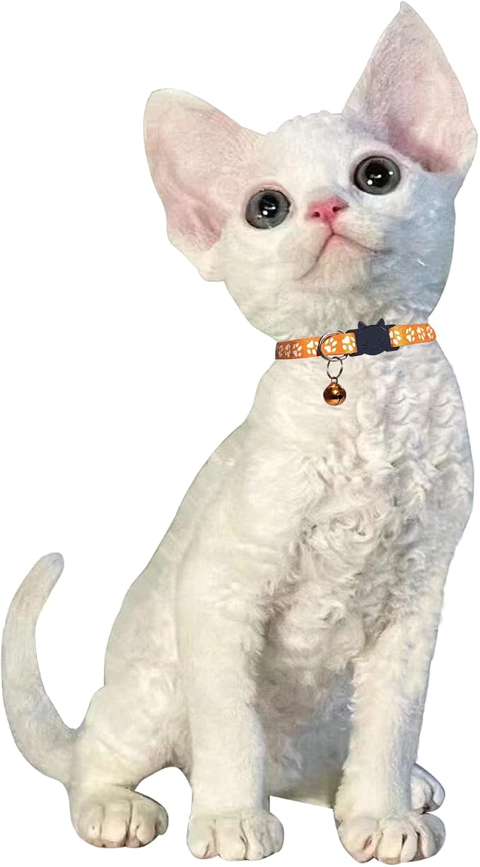 Breakaway Reflective Nylon Cat Collars - Image 5