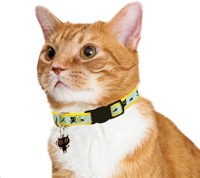 2 Pack Glow in The Dark Cat Collar - Image 6