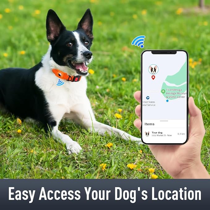 Airtag Dog Collar with AirTag Holder - Image 2