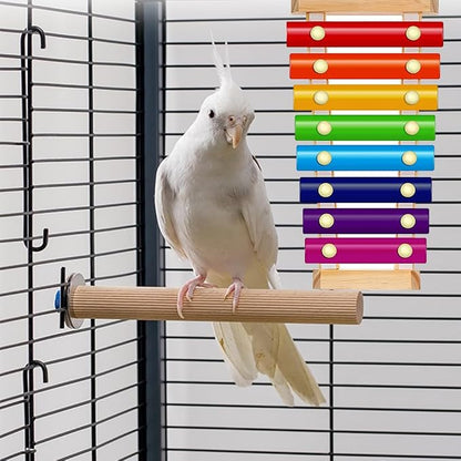 Bird Xylophone with Mirror & Bell Accessories - Image 7