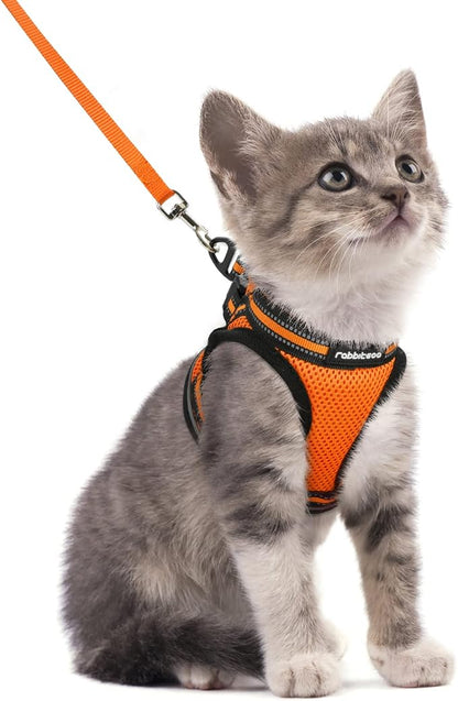 rabbitgoo Cat Harness and Leash Set by rabbitgoo