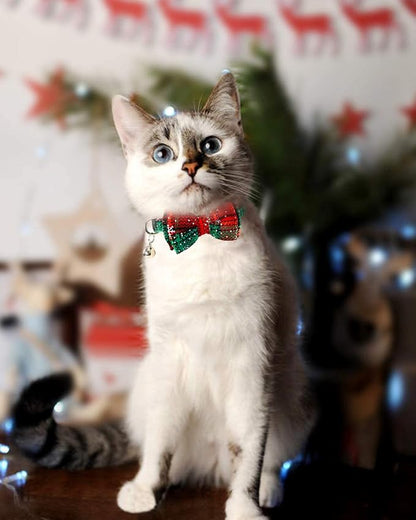 Joytale Upgraded Christmas Cat Collar - Image 8