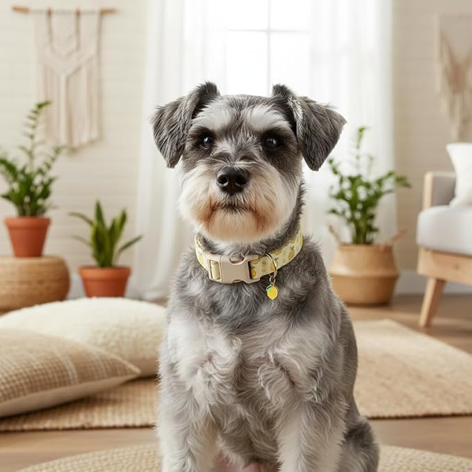 Dog Collar, Spring Summer Dog Collar - Image 8