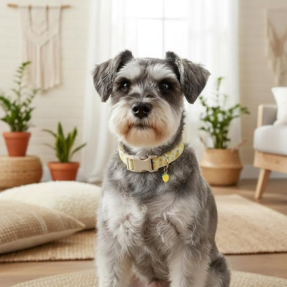 Dog Collar, Spring Summer Dog Collar - Image 8