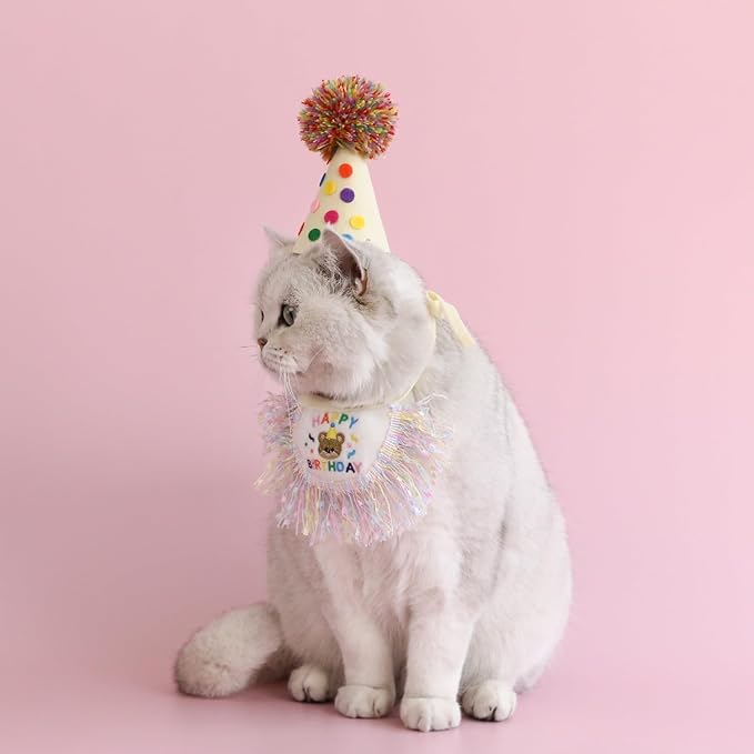 Cat Birthday Bandana Scarf and Party Hat Cute Tassels Bib Scarf and Birthday - Image 6