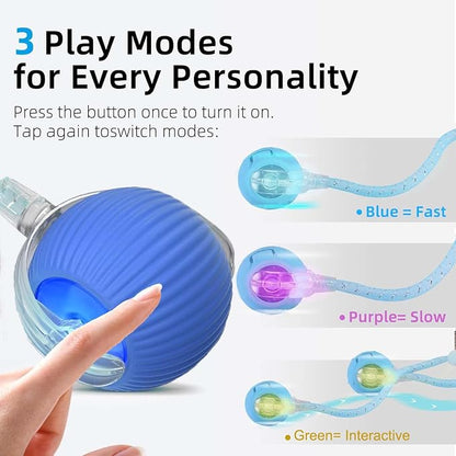2 Packs Speed 2.0 Tail Interactive Cat Toys - Image 3