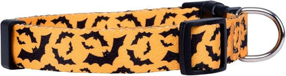 Native Pup Halloween Dog Collar - Image 2