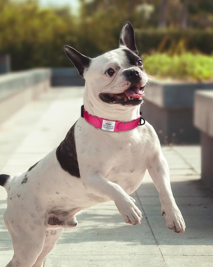 TagME Reflective Nylon Dog Collars, Adjustable Classic Pet Collar - Image 2