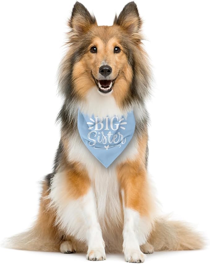Big Sister Dog Bandanas, Light Blue Pet Scarf Accessories, Pet Triangle Scarf - Image 4