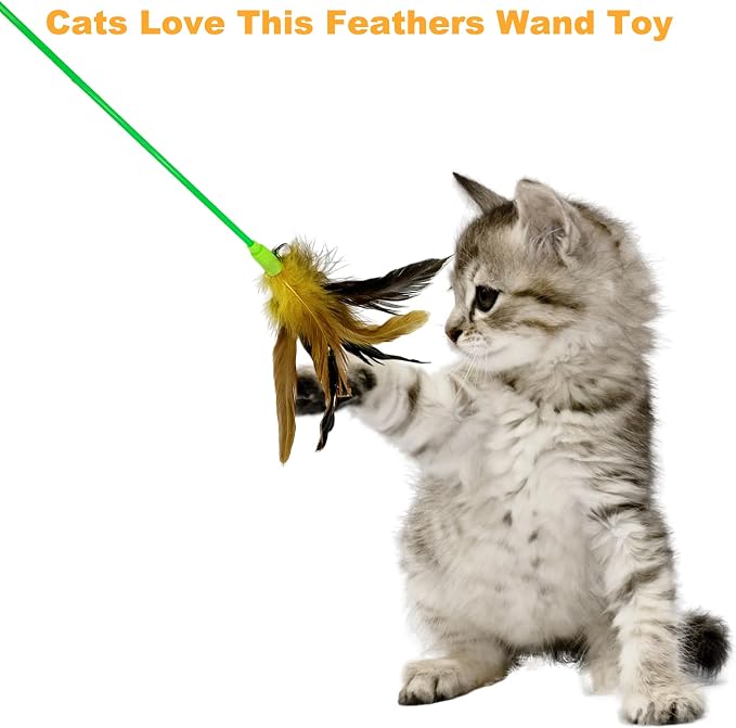 Interactive Cat Wand Feather Toys, 10 Pieces Feathers Stick Cat Toys - Image 5