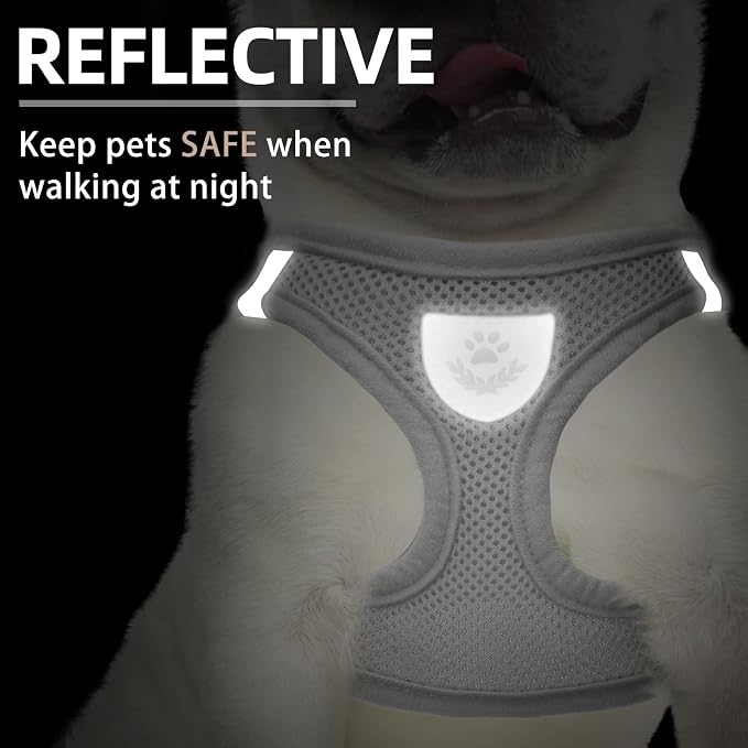 PUPTECK Adjustable Dog Harness Collar and Leash Set Step in No Pull Pet Harness - Image 5