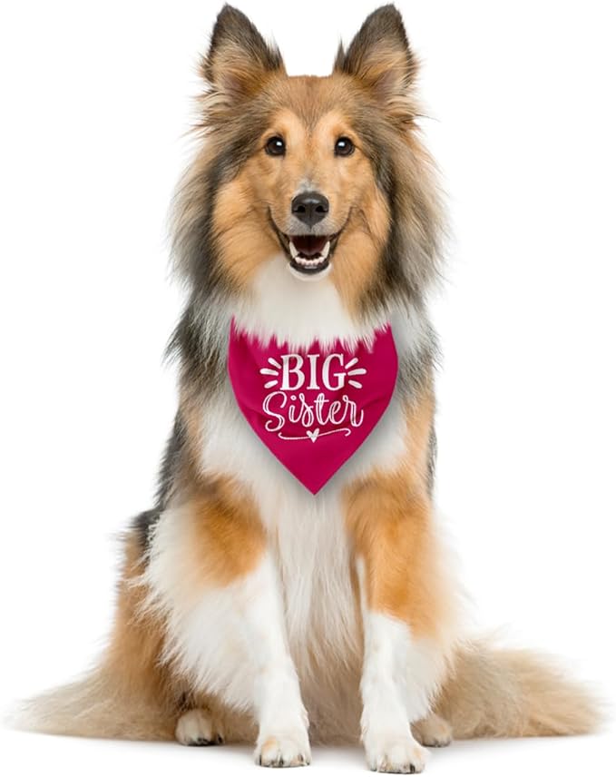 Big Sister Dog Bandana, Dog Bandana, Deep Pink Pet Dog Scarf Accessories - Image 3
