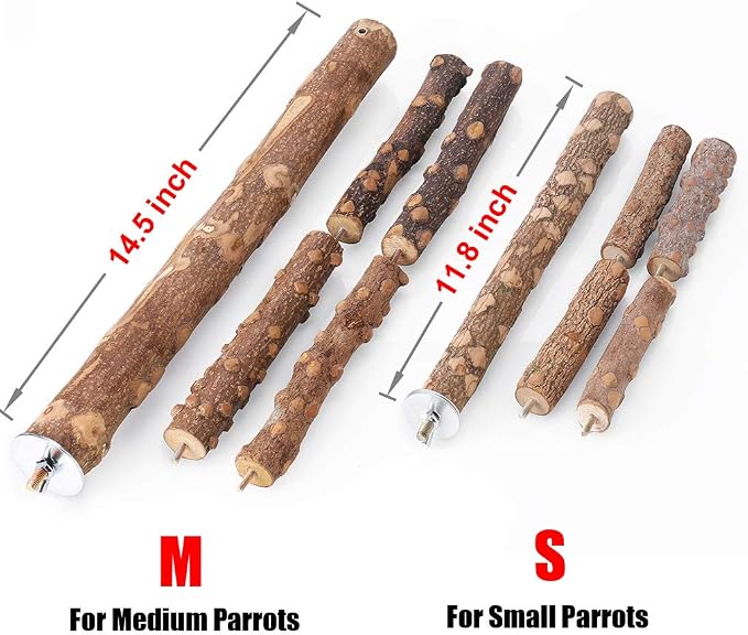 Bird Perch Nature Wood Stand for 3-4pcs Small Medium Parrots - Image 3