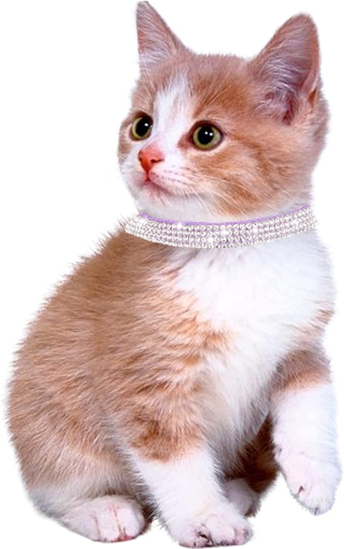 Solmoony Breakaway Cat Collars - Image 4