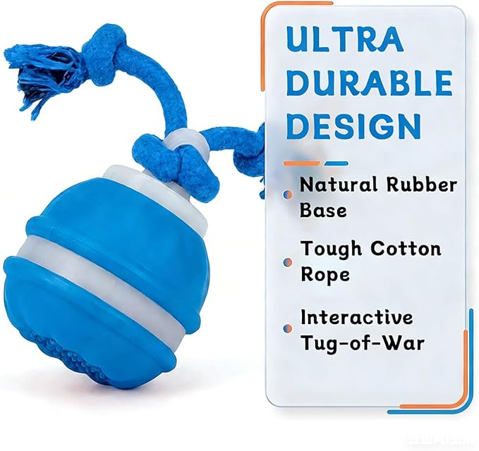 Interactive Dog Toys ，2026 upgraded motion-sensing pet toy ball, interactive - Image 4