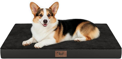 Orthopedic Dog Bed for Large Dogs, Plush Washable Pet Bed for Large Size Dogs by TailStories