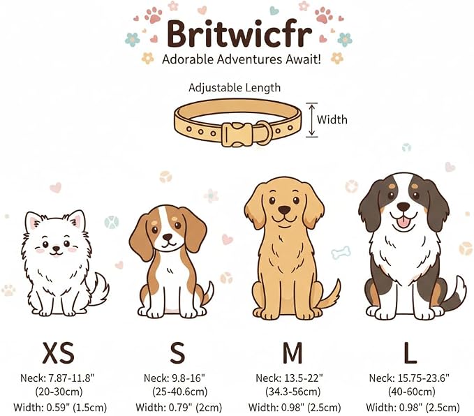 Cute Dog Collar, Girl Boy Dog Collar - Image 3