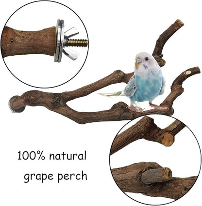 kathson Natural Parrot Perch Bird Stand Pole Wild Grape Stick Paw Grinding Fork - Image 2