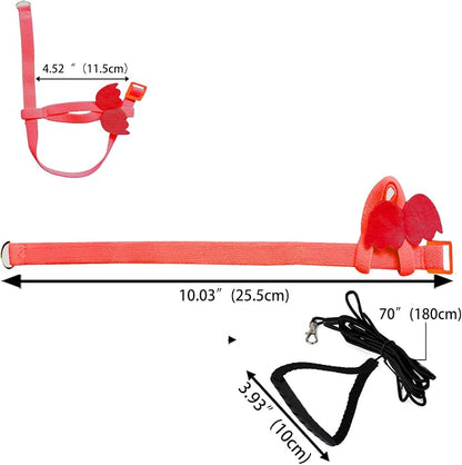 Dnoifne Pet Parrot Bird Harness and Leash, Adjustable Training Design Anti-Bite - Image 6