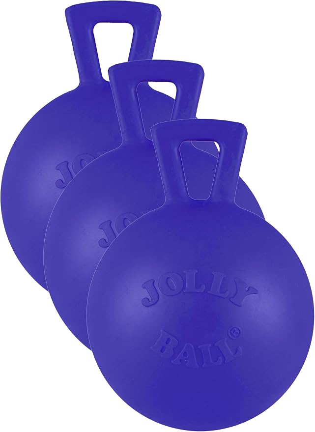 Jolly Pets Tug-n-Toss Heavy Duty Dog Toy Ball by JollyPets