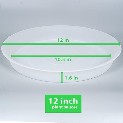 6 Pack of 12 inch Plant Saucer Clear, Heavy Duty Plastic Plant Saucer 12 inch - Image 2