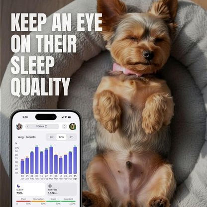 FitBark 2 Dog Activity Monitor | Health & Fitness Tracker - Image 4