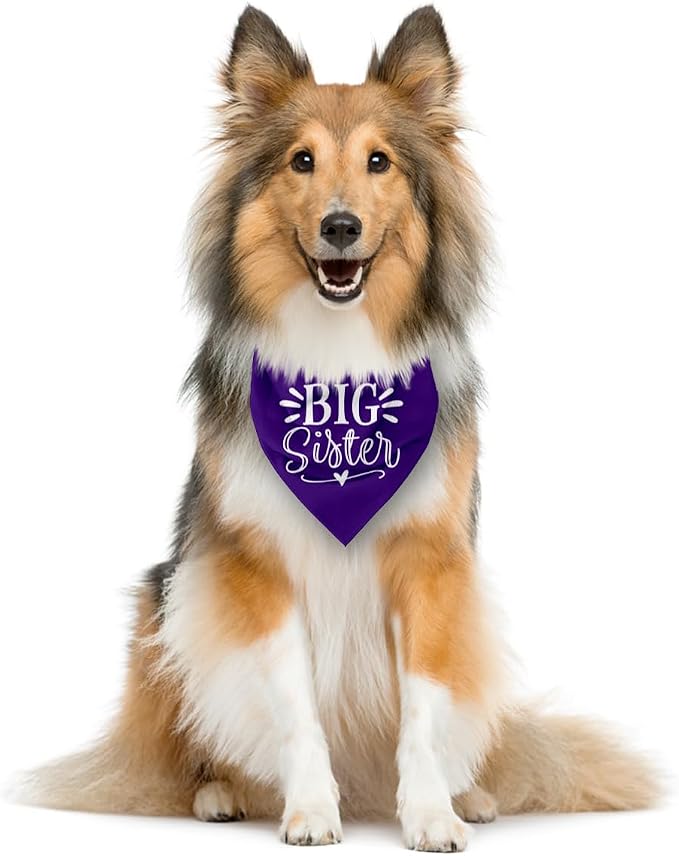 Big Sister Dog Bandana, Pet Scarf Accessories, Pet Triangle Scarf, Dogs Bandanas - Image 3