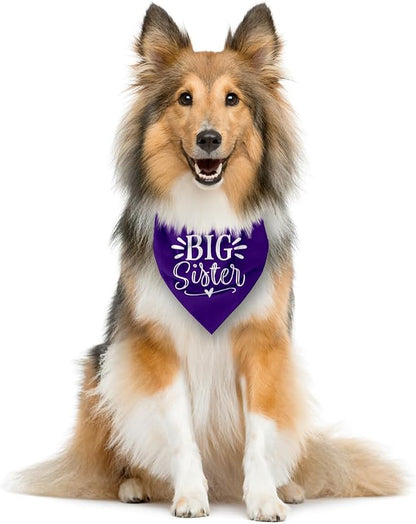 Big Sister Dog Bandana, Pet Scarf Accessories, Pet Triangle Scarf, Dogs Bandanas - Image 3