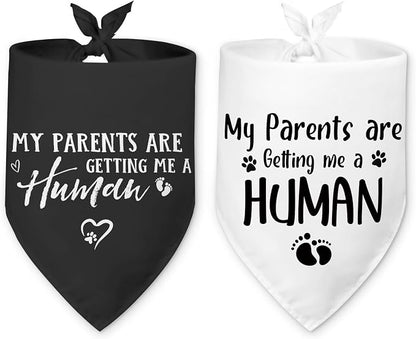 2 Packs My Parents are Getting Me a Human Gender Reveal Dog Bandana Pregnancy by Hialektur
