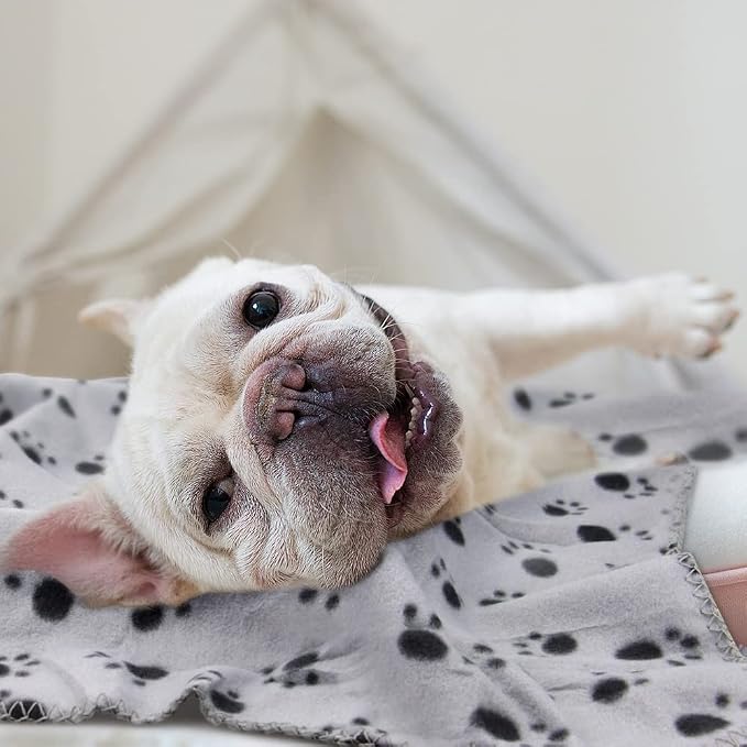 EAGMAK Cute Dog Cat Fleece Blankets - Image 5