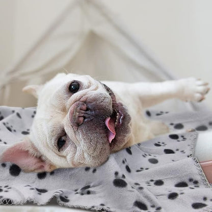 EAGMAK Cute Dog Cat Fleece Blankets - Image 5