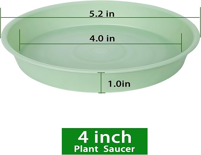 6 Pack Plastic Plant Saucer Water Drip Tray, 4 5 6 7 8 9 10 11 12 13 15 17 19 - Image 2