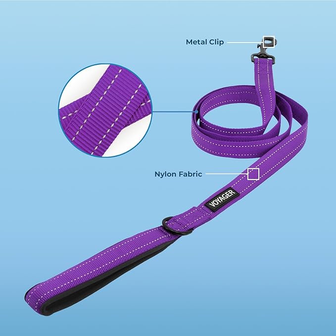 Best Pet Supplies Voyager Reflective Dog Leash or Collar - Image 2