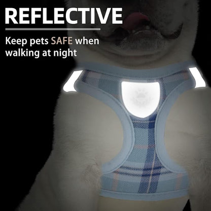 PUPTECK Adjustable Dog Harness Collar and Leash Set Step in No Pull Pet Harness - Image 5