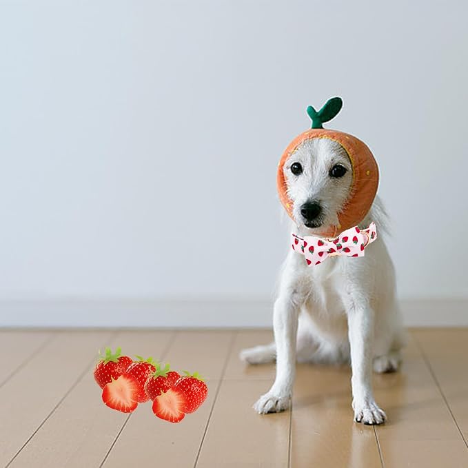 Elegant little tail Dog Collar, Strawberries Print Pet Collar Summer Dog Collar - Image 6