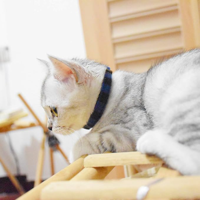 Breakaway cat Collars with Bell, Durable & Safe Cute Kitten Collars Safety - Image 6