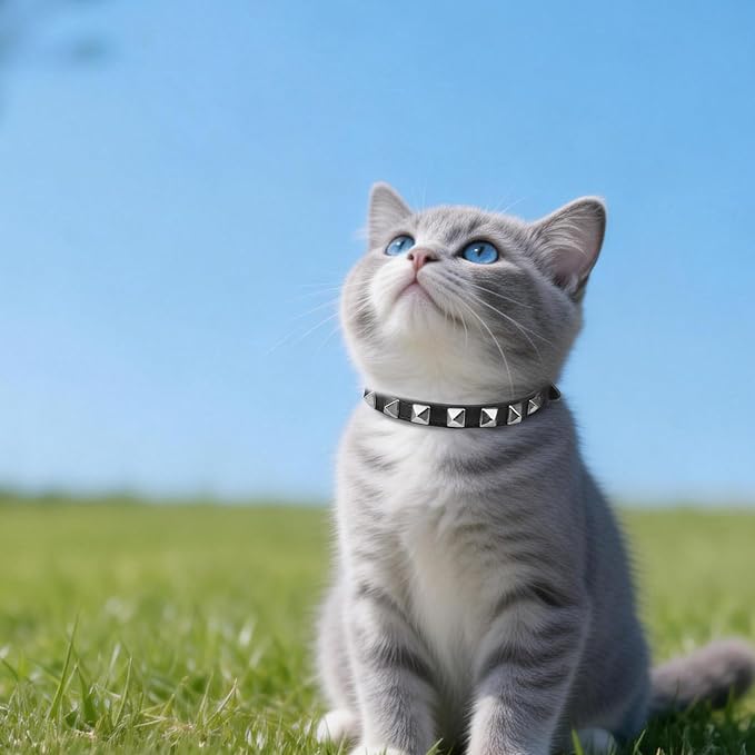 EXPAWLORER Leather Cat Collar - Image 7