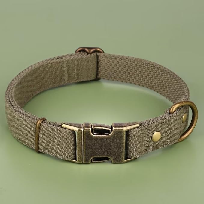 PET ARTIST Dog Collars for Small Dogs, Soft Padded Premium Nylon Dog Collar - Image 3
