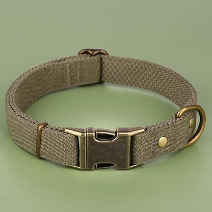 PET ARTIST Dog Collars for Small Dogs, Soft Padded Premium Nylon Dog Collar - Image 3