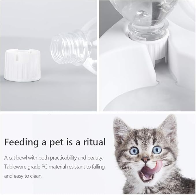 MILIFUN Double Dog Cat Bowls - Image 5