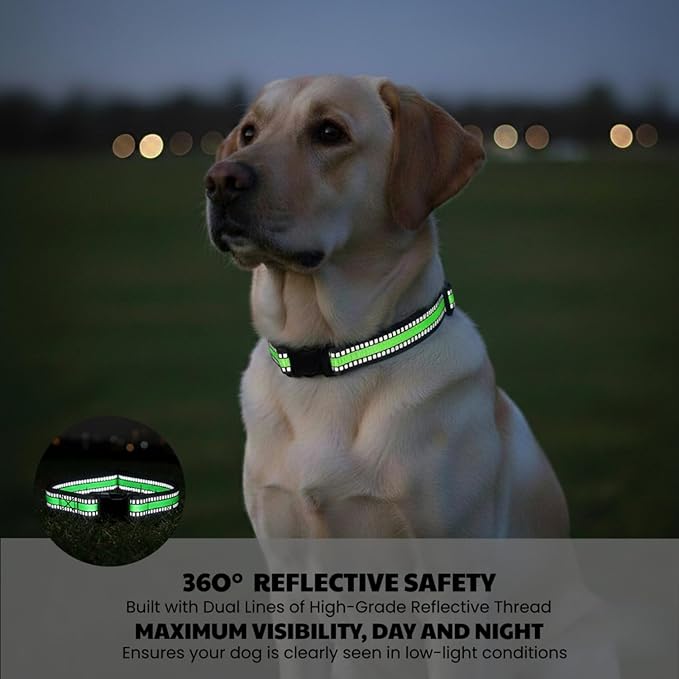 Dog Training Collar Replacement and Shock Collar Strap - Image 4