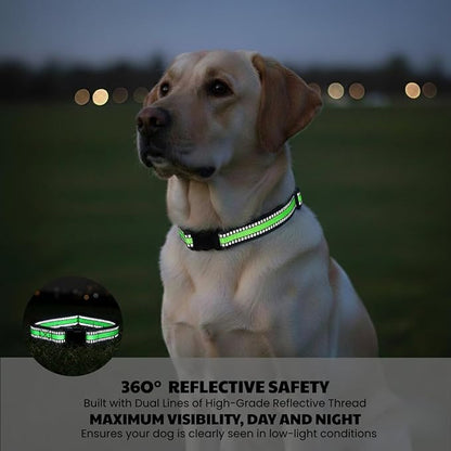 Dog Training Collar Replacement and Shock Collar Strap - Image 4