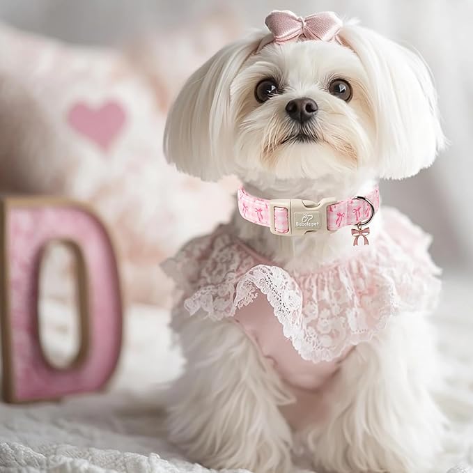 Girl Dog Collar for Giant Large Dogs - Image 7