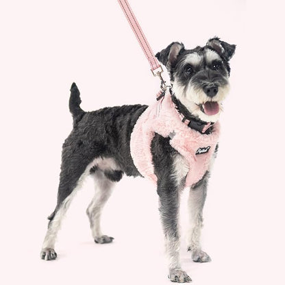 PUPTECK Adjustable Dog Harness Collar and Leash Set Step in No Pull Pet Harness - Image 6