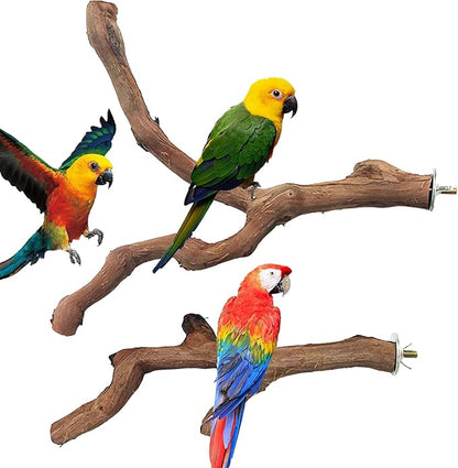 Allazone 4 PCS Natural Wood Bird Perch Stand, Bird Parrot Perch Stand Set - Image 7