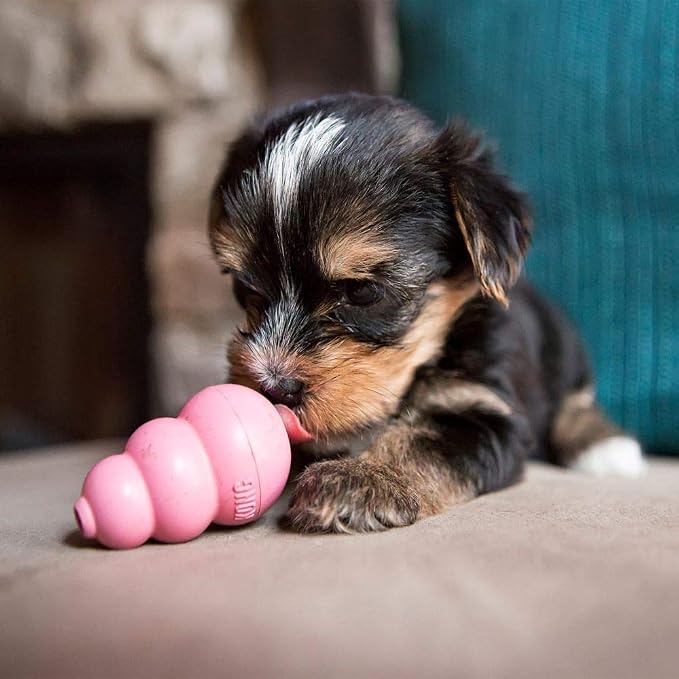 KONG Puppy - Natural Teething Rubber Chew Toy - Image 3