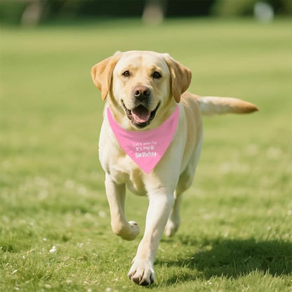 Let's Pawty It's My Birthday Dog Bandana, Happy Birthday Girl Dog Bandana - Image 5