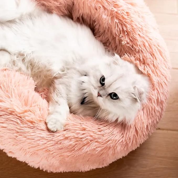 Cat Beds for Indoor Cats - Image 4
