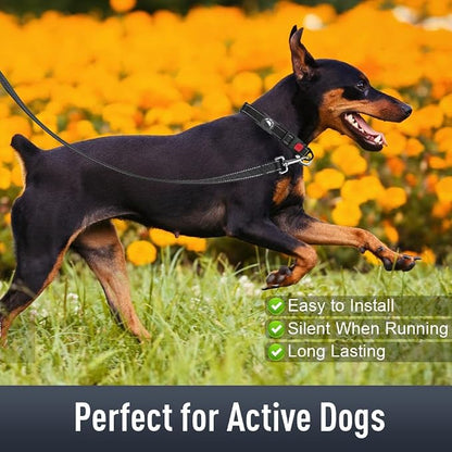 Airtag Dog Collar with AirTag Holder - Image 3