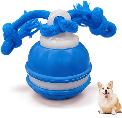 Zealburst Interactive Dog Toy Ball, 2026 Upgraded Motion Activated Rolling Ball by Unknown